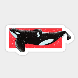 Color Series - Tilikum Sticker